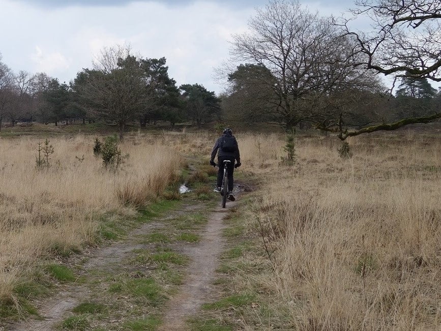 Mountainbiken in Appelscha