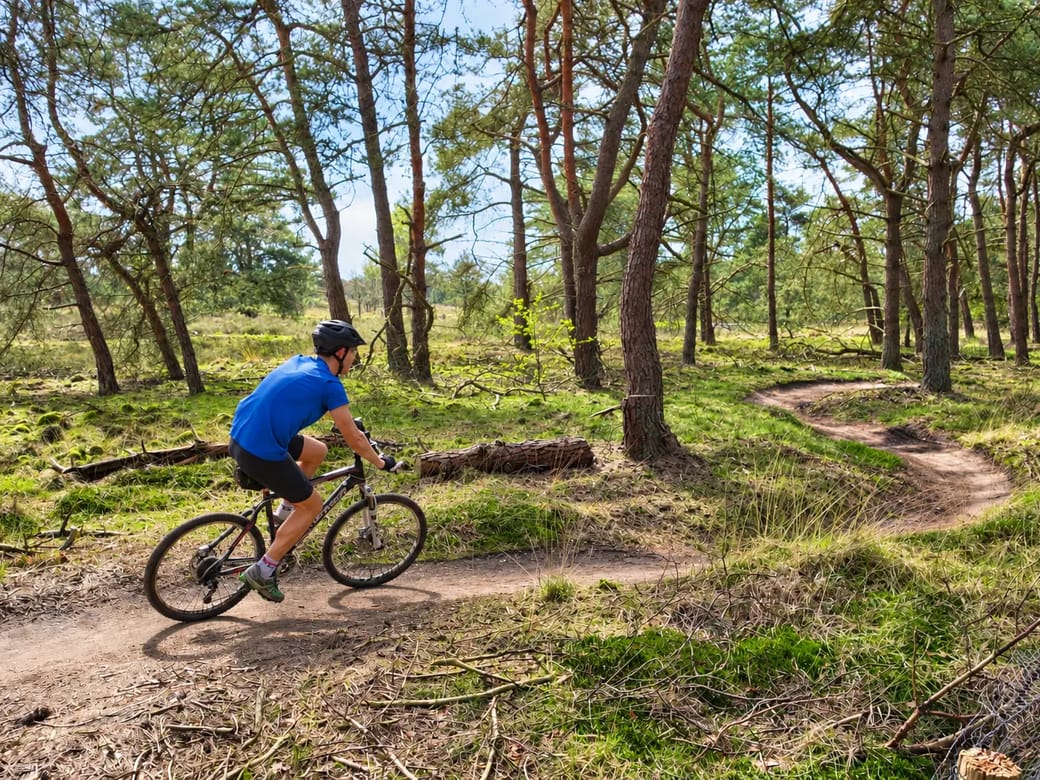 Mountainbiker in een blauw shirt op een slingerende singletrack van de MTB route Tilburg in Stadsbos013