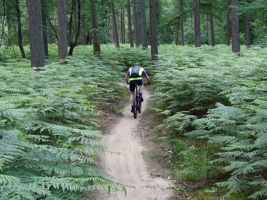 Mountainbiken in Mountainbike huren op de Hoge Vuursche
