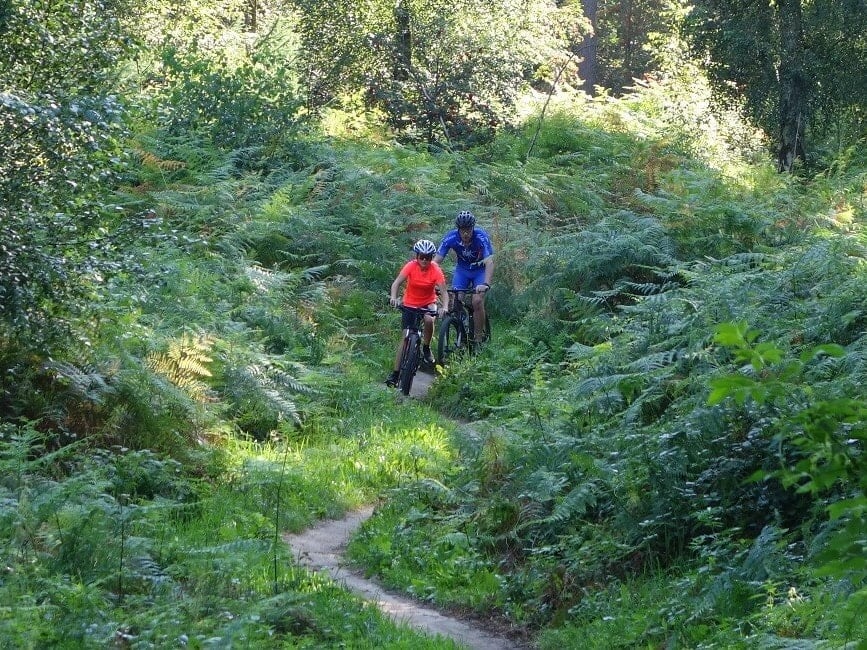 Mountainbiken in Zeddam
