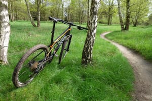 Mountainbike tegen een berk naast een smal pad door het hoge gras op de MTB route Tilburg
