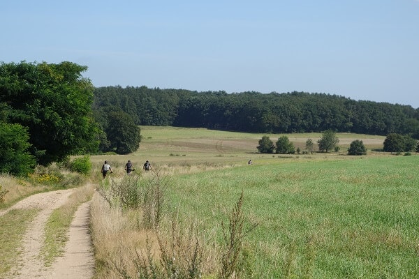 Mountainbikeroute Zeddam