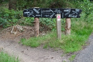 Mountainbikeroute Mountainbike huren op de Hoge Vuursche