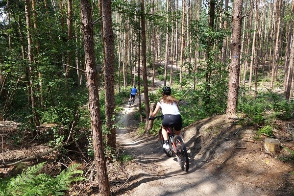 Mountainbikeroute Mountainbike huren op de Hoge Vuursche