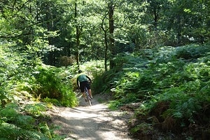 Mountainbikeroute Zeddam