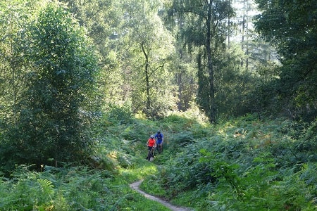 Mountainbike huren Zeddam