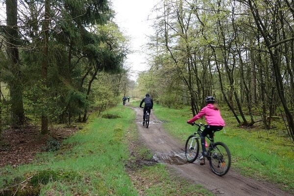 Mountainbikeroute Appelscha
