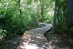 Mountainbikeroute Noord-Scharwoude