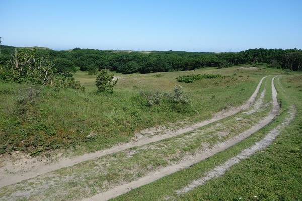 PWN-Gebied mountainbiken kinderen