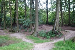 Mountainbikeroute Lochem