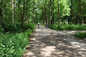 Mountainbikeroute Mountainbike huren op de Hoge Vuursche