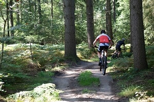 Mountainbikeroute Zeddam