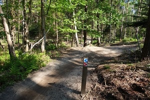 Mountainbikeroute Leusden
