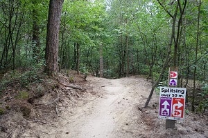 Mountainbikeroute Zeist