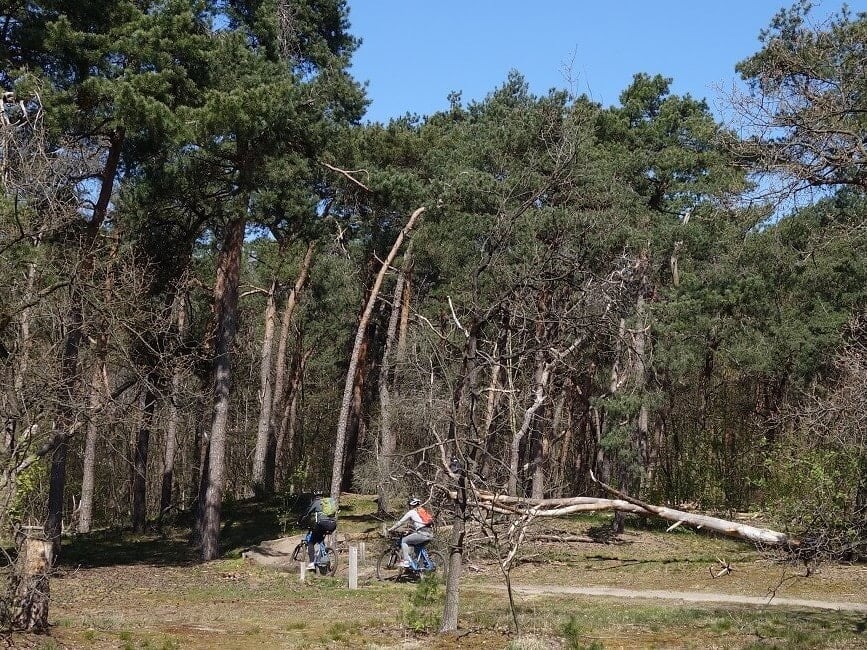 Mountainbiken in Dorst