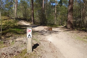 Mountainbikeroute Dorst