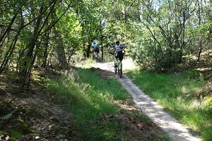 Mountainbikeroute Drunen