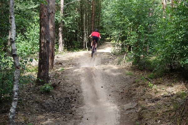 Mountainbikeroute Amerongen