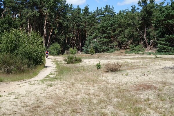 Mountainbikeroute Drunen