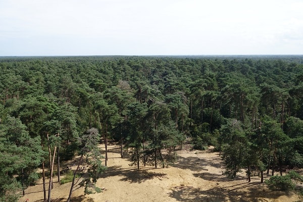 Mountainbikeroute Herentals - Kasterlee