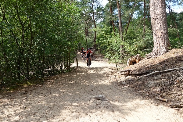 Mountainbikeroute Mountainbike huren op de Lage Vuursche