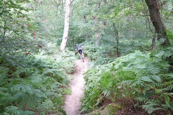 Mountainbikeroute Leersum