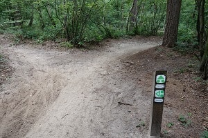 Mountainbikeroute Mountainbike huren op de Lage Vuursche