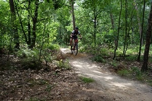 Mountainbikeroute Amerongen