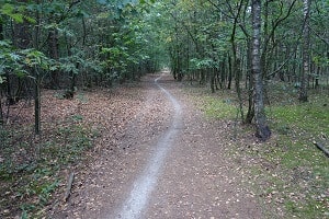 Mountainbikeroute Mountainbike huren Nijmegen