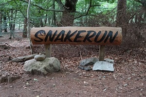 Mountainbikeroute Leersum