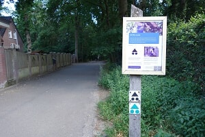 Mountainbikeroute Drunen