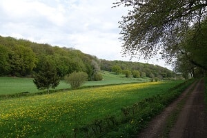 Mountainbikeroute Epen - Vijlen