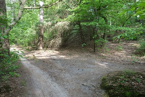 Mountainbike huren PWN gebied doorsteekpaadje