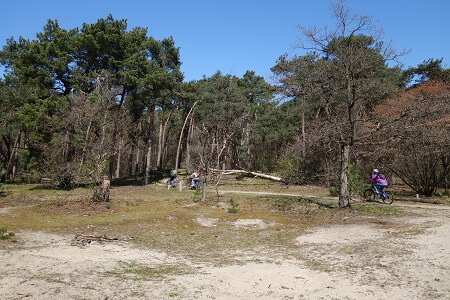 Mountainbike huren Dorst