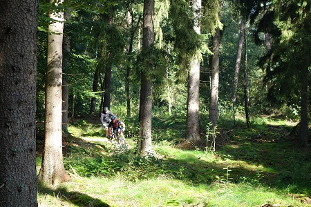 Mountainbike huren Lochem