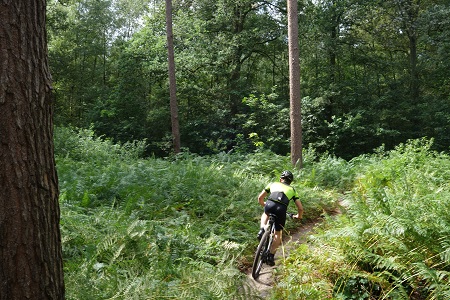 Mountainbike huren Herentals - Kasterlee