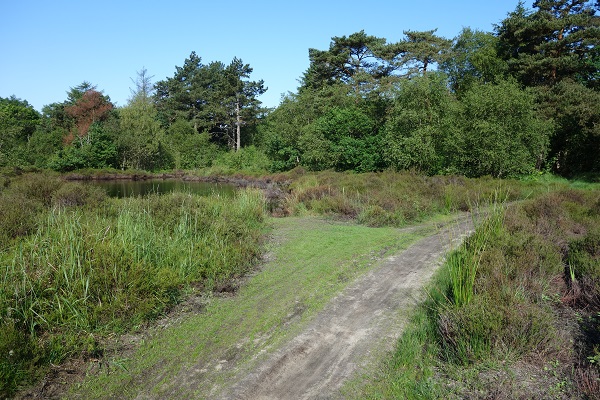 PWN-Gebied mtb kinderen