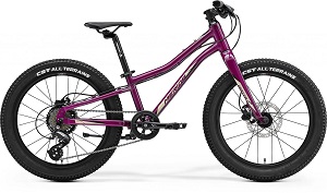 Merida 20 inch kinder-mountainbike